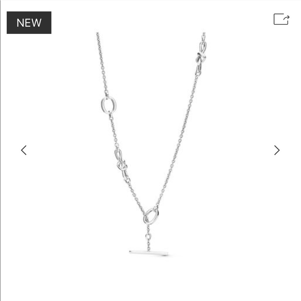 Pandora necklace